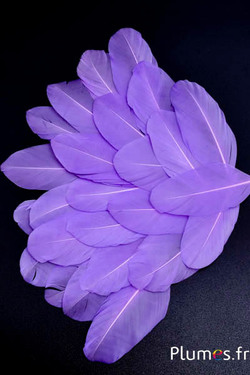Pétales en plumes - 6-8 x 3-4 cm - lilas
